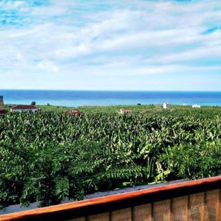 Apartamento El Tejar Tazacorte Bagian luar foto