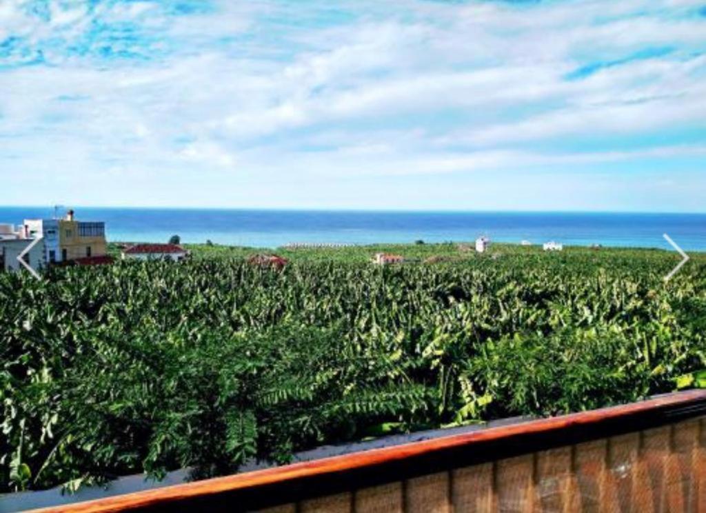 Apartamento El Tejar Tazacorte Bagian luar foto